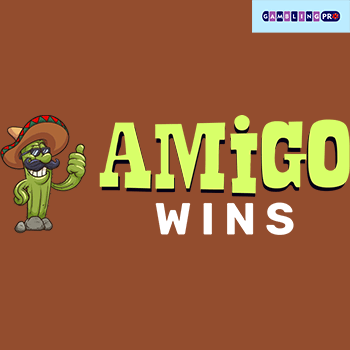 Amigo Wins Casino Registration Process 4
