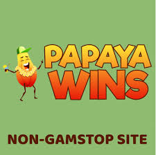 Casino Papaya Wins A Paradise for Online Gamblers Casino Papaya Wins A Paradise for Online Gamblers