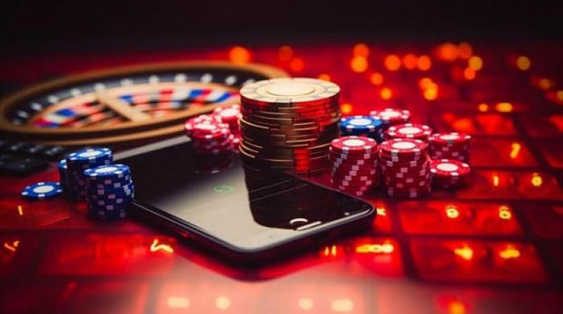 Discover the Thrills of Richy Fox Casino