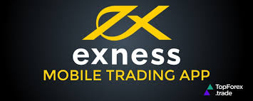 Understanding Exness Demo A Comprehensive Guide Understanding Exness Demo A Comprehensive Guide