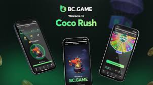 Understanding BC.Game General Terms and Conditions 1696485175